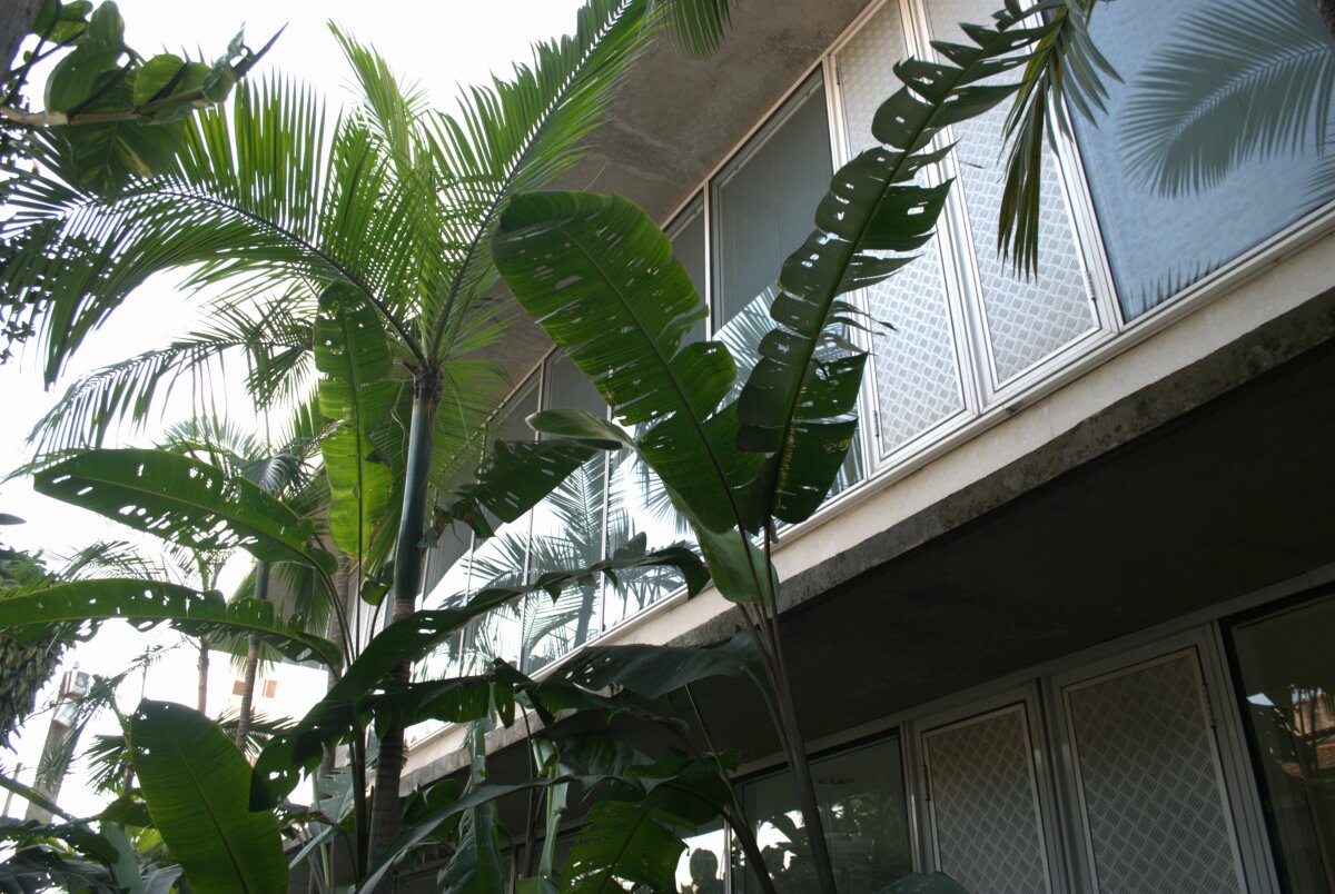 Jardim ao lado do edifício